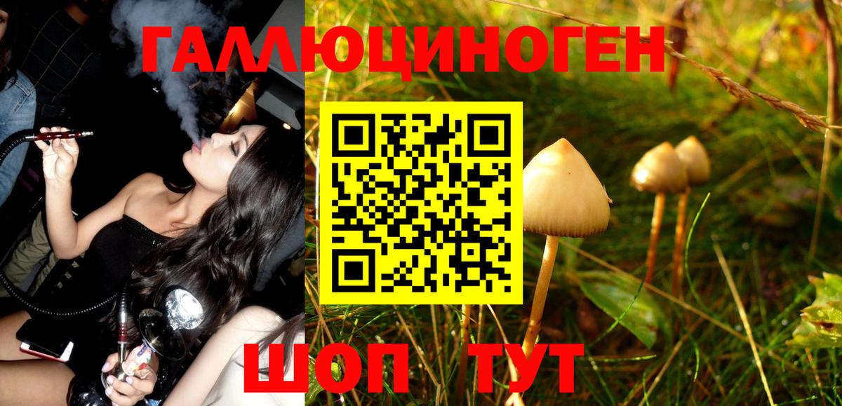 Павловский Посад  Псилоцибиновые грибы Magic Shrooms  Вход с VPN 