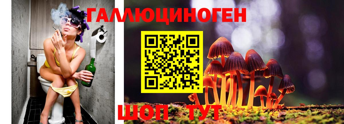Псилоцибиновые грибы Psilocybe Павловский Посад